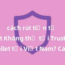 cách rút tiền từ ví trust Không thể tải Trust Wallet tại Việt Nam? Cách khắc phục